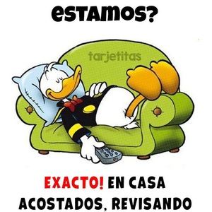 Meet your Posher, Tania